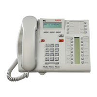 Avaya T7316E Digital Telephone Platinum - NT8B27JAMBE6